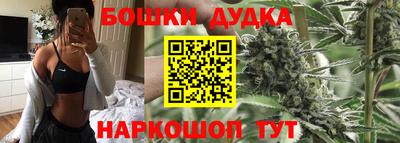 мдпв Новокубанск