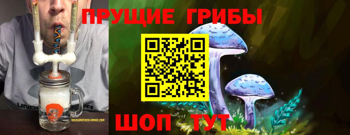 Псилоцибиновые грибы Psilocybe  Галлюциногенные грибы мухоморы  Чебаркуль  Вход с VPN 